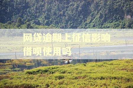网贷逾期上征信影响借呗使用吗