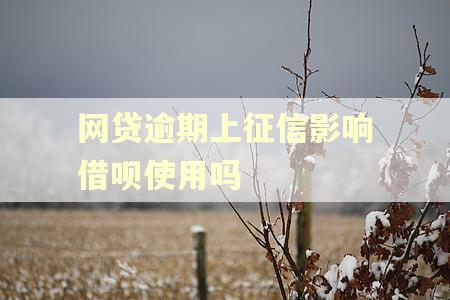 网贷逾期上征信影响借呗使用吗