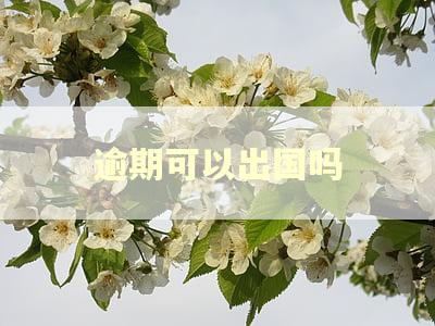 逾期可以出国吗
