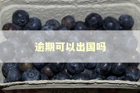 逾期可以出国吗
