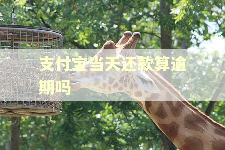 支付宝当天还款算逾期吗
