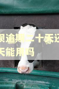 花呗逾期二十天还完几天能用吗