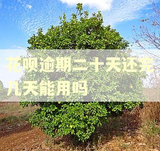 花呗逾期二十天还完几天能用吗 花呗逾期二十天还完几天能用吗