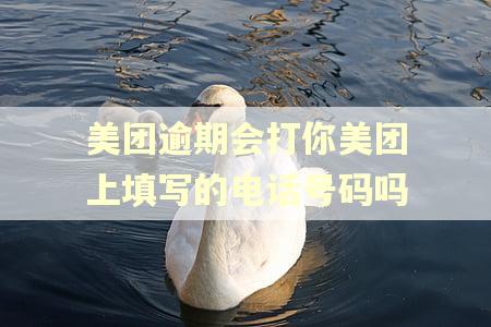 美团逾期会打你美团上填写的电话号码吗