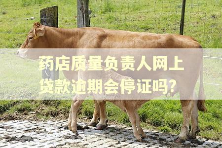 药店质量负责人网上贷款逾期会停证吗?