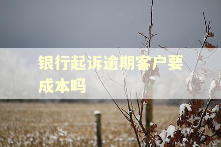银行起诉逾期客户要成本吗