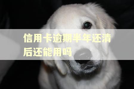 信用卡逾期半年还清后还能用吗