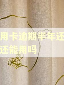 信用卡逾期半年还清后还能用吗