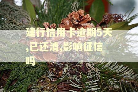 建行信用卡逾期5天,已还清,影响征信吗