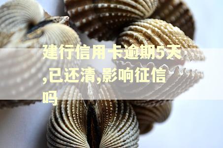 建行信用卡逾期5天,已还清,影响征信吗