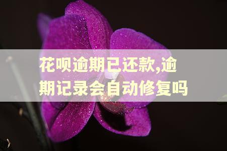 花呗逾期已还款,逾期记录会自动修复吗