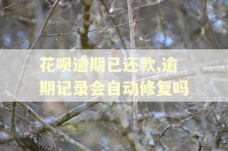 花呗逾期已还款,逾期记录会自动修复吗 花呗逾期已还款,逾期记录会自动修复吗