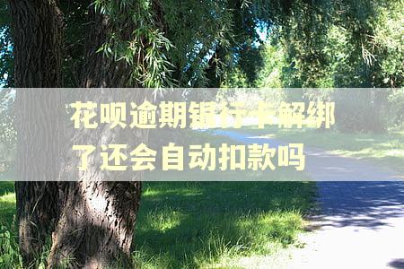 花呗逾期银行卡解绑了还会自动扣款吗