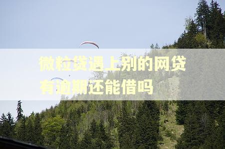 微粒贷遇上别的网贷有逾期还能借吗