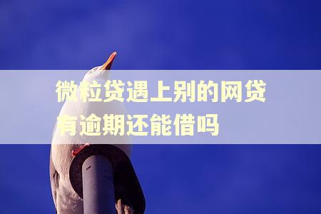 微粒贷遇上别的网贷有逾期还能借吗