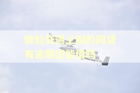 微粒贷遇上别的网贷有逾期还能借吗