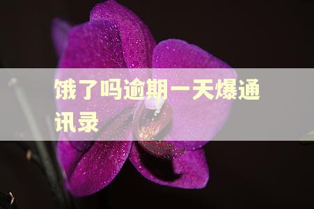 饿了吗逾期一天爆通讯录