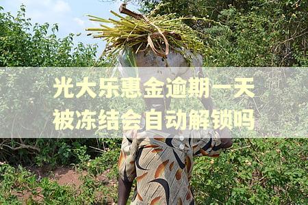 光大乐惠金逾期一天被冻结会自动解锁吗
