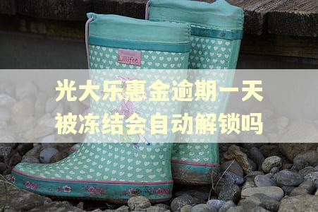 光大乐惠金逾期一天被冻结会自动解锁吗