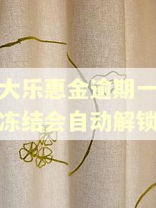 光大乐惠金逾期一天被冻结会自动解锁吗
