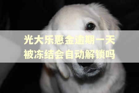 光大乐惠金逾期一天被冻结会自动解锁吗