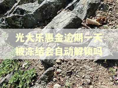 光大乐惠金逾期一天被冻结会自动解锁吗 光大乐惠金逾期一天被冻结会自动解锁吗