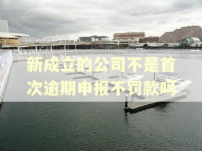 新成立的公司不是首次逾期申报不罚款吗