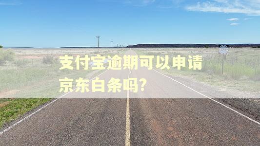 支付宝逾期可以申请京东白条吗?