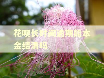 花呗长时间逾期能本金结清吗