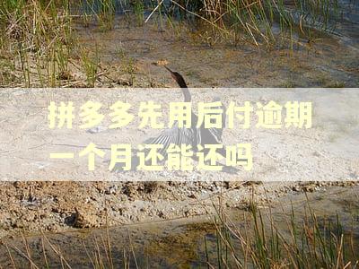 拼多多先用后付逾期一个月还能还吗