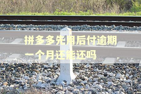拼多多先用后付逾期一个月还能还吗