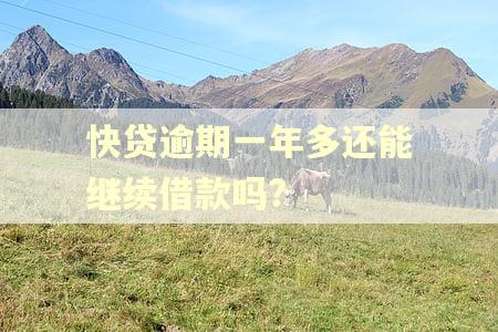 快贷逾期一年多还能继续借款吗?