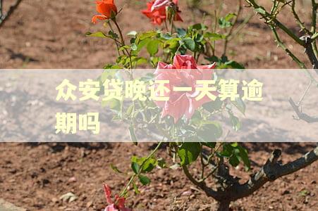 众安贷晚还一天算逾期吗