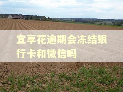 宜享花逾期会冻结银行卡和微信吗