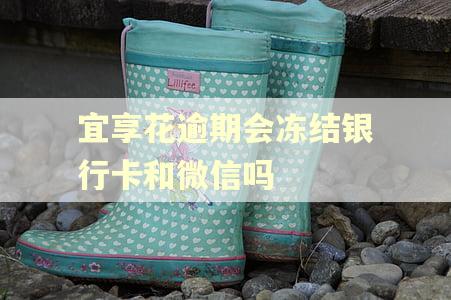 宜享花逾期会冻结银行卡和微信吗