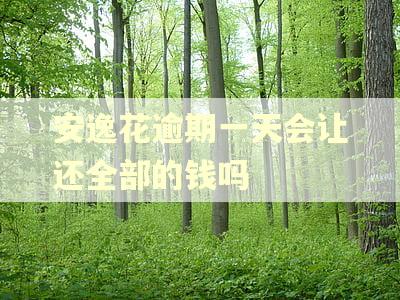 安逸花逾期一天会让还全部的钱吗