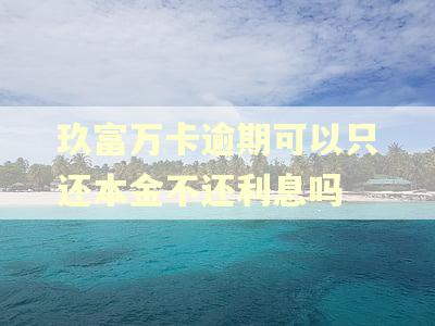 玖富万卡逾期可以只还本金不还利息吗