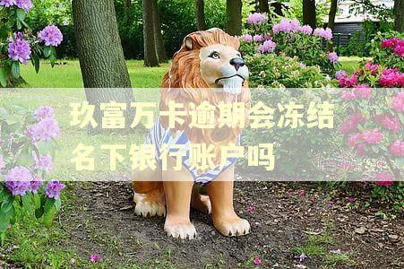 玖富万卡逾期会冻结名下银行账户吗