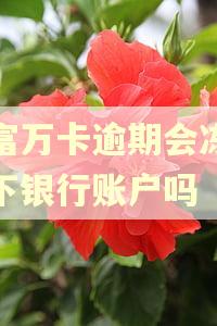 玖富万卡逾期会冻结名下银行账户吗