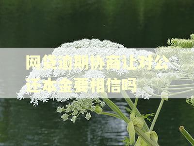 网贷逾期协商让对公还本金要相信吗