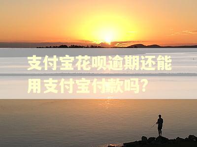 支付宝花呗逾期还能用支付宝付款吗?