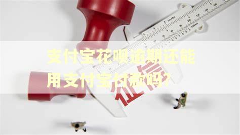 支付宝花呗逾期还能用支付宝付款吗?