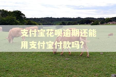 支付宝花呗逾期还能用支付宝付款吗?
