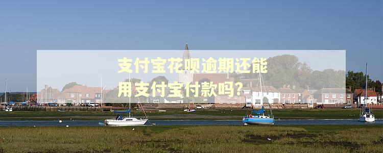 支付宝花呗逾期还能用支付宝付款吗?