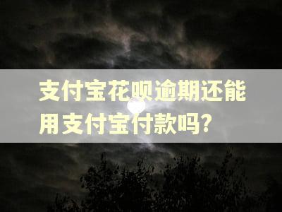 支付宝花呗逾期还能用支付宝付款吗?