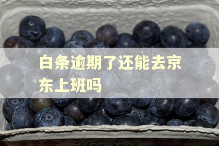 白条逾期了还能去京东上班吗
