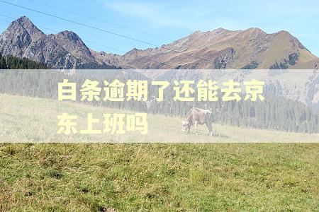 白条逾期了还能去京东上班吗