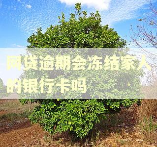 网贷逾期会冻结家人的银行卡吗 网贷逾期会冻结家人的银行卡吗