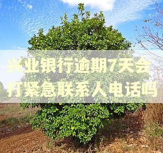 兴业银行逾期7天会打紧急联系人电话吗