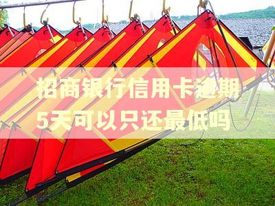 招商银行信用卡逾期5天可以只还最低吗